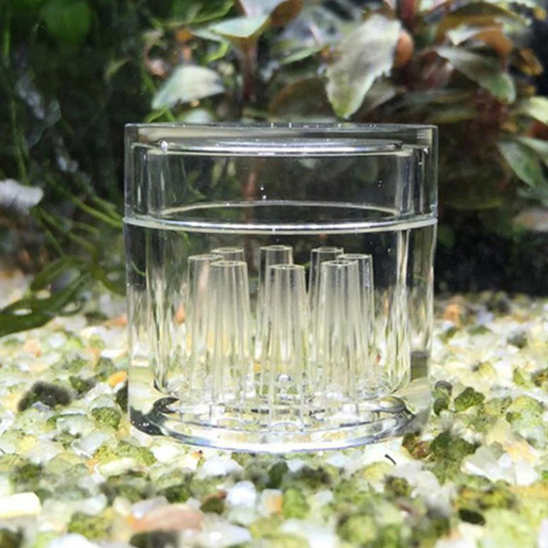 High Transparent  Aquarium Fis - Resin Art Case recension och pris