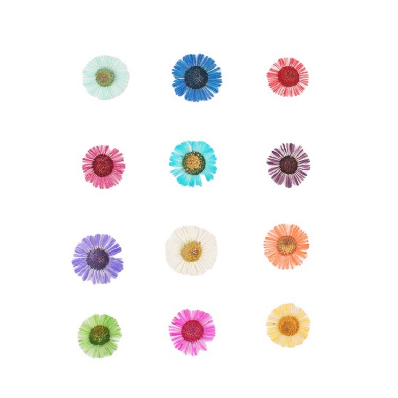 1 Set Pressed Dried Flower Eri - Resin Art Baby recension och pris
