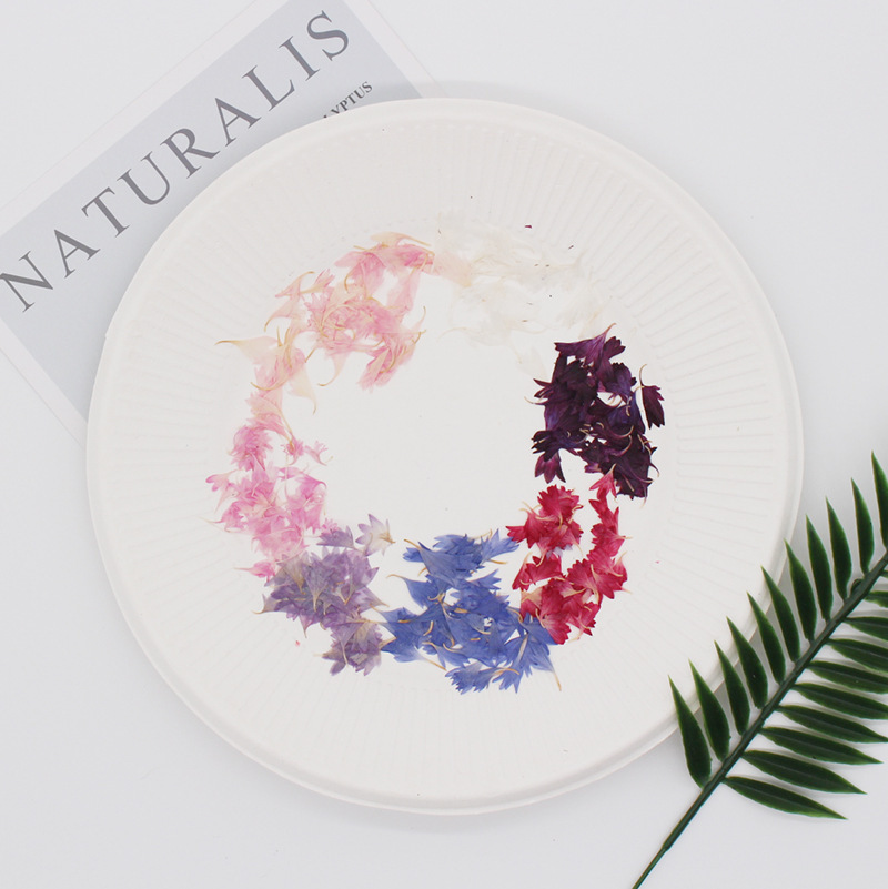 20 Plant Specimens, Cornflower - Resin Art Baby recension och pris