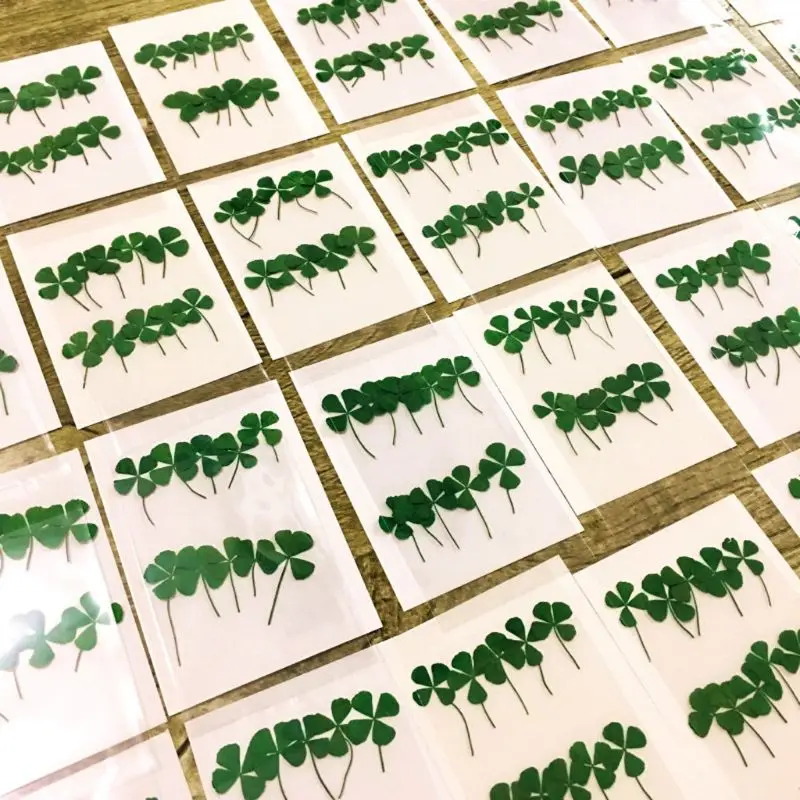 12Pcs Lucky Dried Leaf Clover  - Resin Art Baby recension och pris