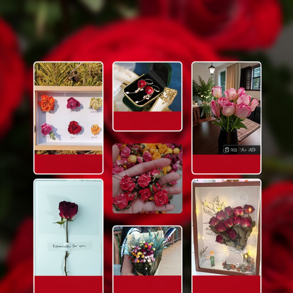Natural Dried Rose Flower Bouq - Resin Art Rose recension och pris